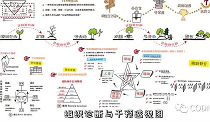 组织诊断与干预透视图
